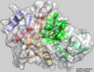 CTXM14-avibactam_overview_DESY_PR_mp4_thumbnail.jpg